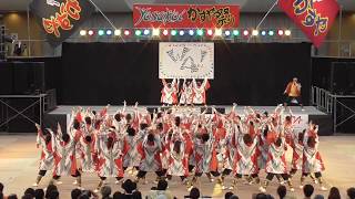 2017　かすや祭り　『筑前かすや一番隊』　二日目ラスト演舞