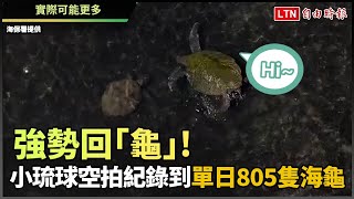 強勢回「龜」！小琉球空拍紀錄到單日805隻海龜 海保署：實際可能更多(海保署提供)