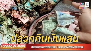 สาวเศร้า เก็บเงินหวังบวชลูก โดนปลวกแทะเกือบแสน | ข่าวอรุณอมรินทร์ | 220365