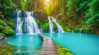 Best Relaxing music heals the heart 🌿 Calming music relieves stress, deep meditation