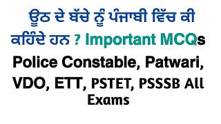 𝗣𝘂𝗻𝗷𝗮𝗯 𝗚.𝗞 | 𝗣𝘂𝗻𝗷𝗮𝗯𝗶 𝗣𝗮𝗽𝗲𝗿 𝗔 \u0026 𝗣𝗮𝗽𝗲𝗿 𝗕  ਲਈ ਮਹੱਤਵਪੂਰਣ 𝗠𝗖𝗤𝘀