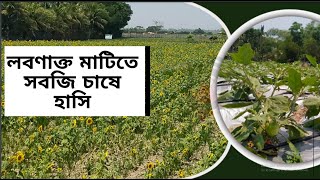 লবণাক্ত মাটিতে সবজি চাষে হাসি | Vegetable Cultivation | Channel RA News |