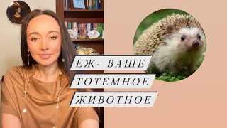 Ёж- ваше тотемное животное# духовное животное# животное силы#