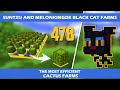 SunTzu and MelonKingDe's BlackCat Cactus Farm | Hypixel Skyblock(Outdated)