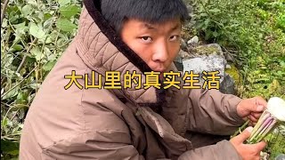 这就是山里的生活吧，19岁少年扛起一个家，结尾把我感动哭了