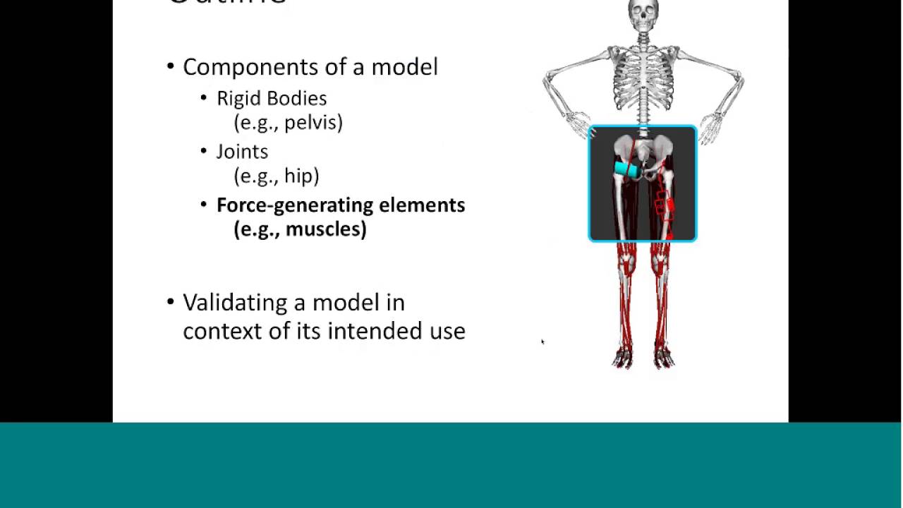 Webinar: Musculoskeletal Models Deconstructed - YouTube