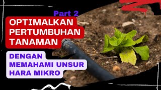 Optimalkan Pertumbuhan Tanaman Anda dengan Memahami Unsur Hara Mikro Part 2 - Nafarel Farm