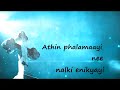 catholic song .....kanuka krushin paathayil