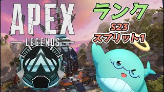 [Apex Legends]今日もMEISMメンバーでランク　with佐野君、やんぞさん