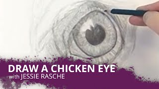 LIVE - realistic drawing of a chicken eye in pencil - come vote and draw together