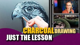 Draw a kestrel in charcoal with me - Real Time full video!