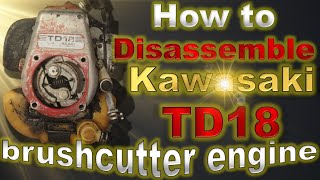 ผ่าเครื่องตัดหญ้าตัวจิ๋ว Kawasaki TD18