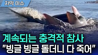 계속되는 충격적 참사...\