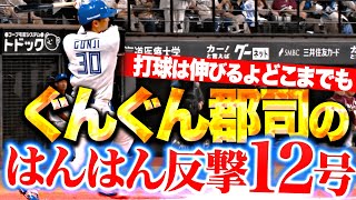 【ぐんぐん郡司】郡司裕也『ごうごう豪快スイングで…はんはん反撃12号ソロ！』