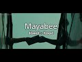 Mayabee- [ 𝙨𝙡𝙤𝙬𝙚𝙙 + 𝙧𝙚𝙫𝙚𝙧𝙗 ]  | মায়াবী  |  Blue Touch Bangladesh | Shariyat_LOFI