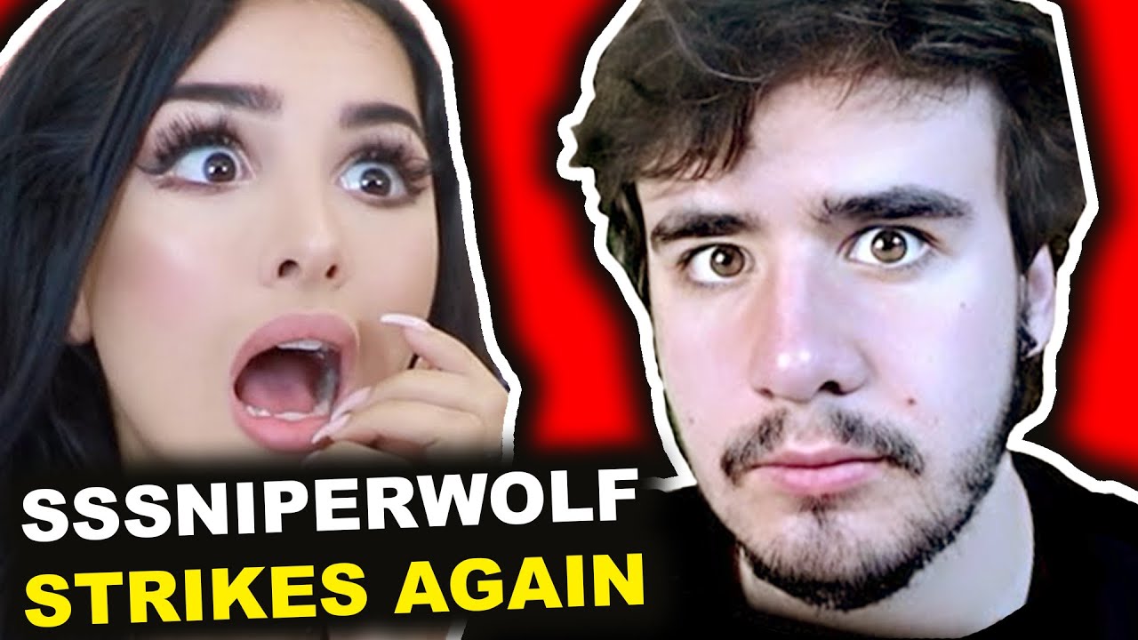 The Sssniperwolf Situation Youtube
