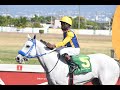 JAMAICA RACING: SPECIAL COUNSEL WINS THE CAYMANAS (SUN, JAN 15, 2023) 4th