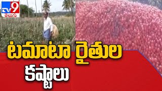 Tomato Price : టమాటా రేటు మళ్లీ ఢమాల్‌.. గిట్టుబాటు ధర లేక రోడ్డుపై పారబోసి రైతులు - TV9