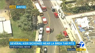8 teens hospitalized after ingesting edibles on La Brea Tar Pits field trip