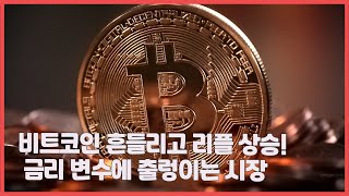 비트코인 흔들리고 리플 상승! 금리 변수에 출렁이는 시장