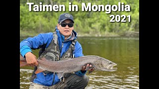 TAIMEN Fishing In Mongolia 2021.06