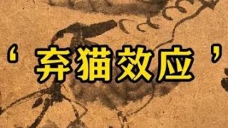 让前任放不下你的最好方式其实就是弃猫效应#天涯神贴 #认知 #情感 #弃猫效应