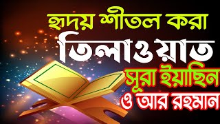 হৃদয় শীতল করা ।  সূরা ইয়াসিন ও সূরা আর-রাহমান  | মোহাম্মদ আরিফুজ্জামান Azmir Recoding Naat 2021