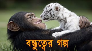 পশু-পাখিদের মাঝে বন্ধুত্ব!Animals friendship 2020(বিচিত্র জগৎ)