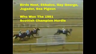 1981 Scottish Champion Hurdle