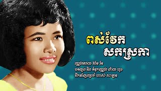 ពស់វែកសកស្រកា - ប៉ែន រ៉ន | Pen Ran