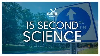 15-Second Science: Flood Zones