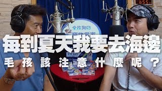 '19.08.19【全能狗S 寵物當家】犬類行為專家熊爸談「夏天帶狗狗去玩水該注意什麼？」