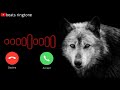 Turkish wolf ringtone.......🐺👍👍