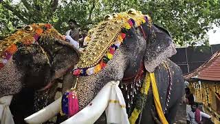 എന്തൊരു ആവേശം....Elephants taking thidampu @ Arangottukara mullakkal thalapoli.