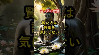 賢い人は評価を気にしない｜ブッダの智慧 #仏教 #ブッダ #自己啓発