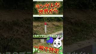 【衝撃】GeoGuessr公式プレイヤーが凄い #ゲーム実況 #世界地図 #ゲーム