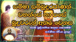 සම්මා සම්බුදුරජාණන් වහන්සේ හා පසේ බුදුවරුන් අතර වෙනස | Pacceka Buddha | Thapowanaye Rathana Thero