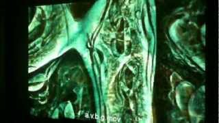 Organic Visual (Reaction-diffusion system)