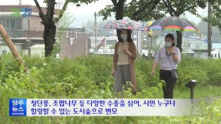 도심 속 푸른 숲길을 걸어요