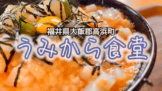 福井県⾼浜町 うみから食堂【イカ丼と海鮮丼)