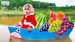 Naughty BiBi rowes boat to pick fruit for friends