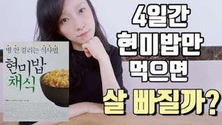 *eng diet vlog* 자연식물식 현미밥 다이어트, 4일간 현미밥만 먹으면 살이 얼마나 빠질까요? 주부다이어트, plant based diet, 굿오쩡