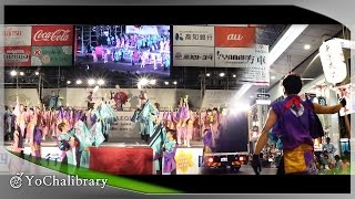 【4K】早稲田大学 東京花火｜藤結び（高知よさこい'15 中央公園）[Anamorphic] ＋ 纏