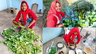 💐ब्रोक्कोली की खेती में मिली सफलता 💃/ इतने सारे ताजे मूली के पत्तों का हमने क्या बनाया / 🥗Desi Khana