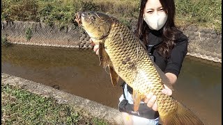 食パンで巨大な鯉釣り上げた！