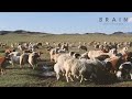 mongolian mystic scenery a drone s eye view from above