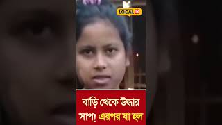 Bangla News | বাড়ি থেকে উদ্ধার সাপ! নজিরবিহীন প্রতিক্রিয়া গৃহস্থের, তাজ্জব সকলে #local18shorts