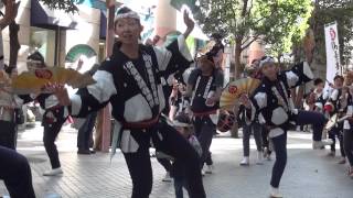 「仙臺雀踊壹番組」2012年青葉区民まつり・流し踊り