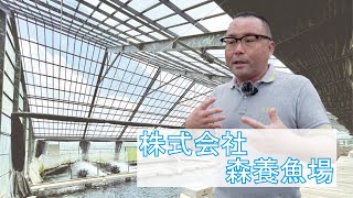 清流の国ぎふ地産地消めぐり 生産者紹介【株式会社 森養魚場】