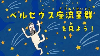 【ペルセウス座流星群】一つでも多くの流れ星が見たい！【観察のコツ】